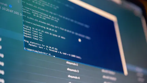 IMDSとはに関連するイメージ写真